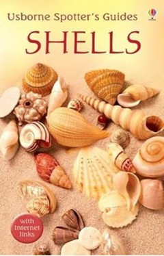 Shells (Usborne Spotter's Guide)